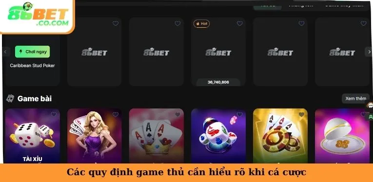 Các quy định game thủ cần hiểu rõ khi cá cược